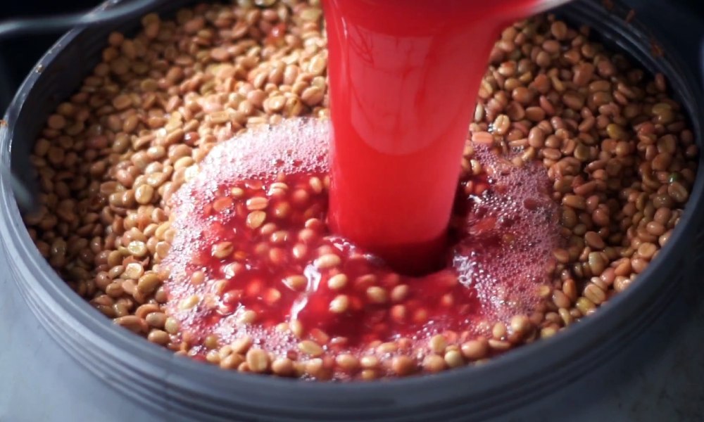 Tanque de fermentación de café